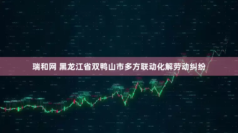 瑞和网 黑龙江省双鸭山市多方联动化解劳动纠纷
