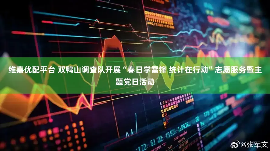 维嘉优配平台 双鸭山调查队开展“春日学雷锋 统计在行动”志愿服务暨主题党日活动